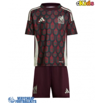 Mexico Replica Home Minikit Copa America 2024 Short Sleeve (+ pants)